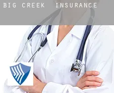 Big Creek  insurance