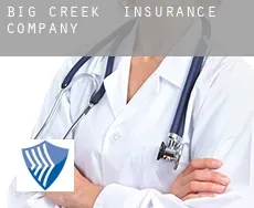 Big Creek insurance company
