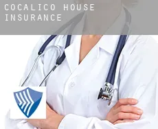 Cocalico House  insurance