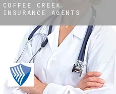 Coffee Creek  insurance agents