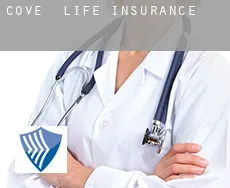 Cove  life insurance