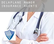 Delaplane Manor  insurance agents