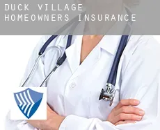 Duck Village  homeowners insurance