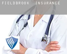 Fieldbrook  insurance
