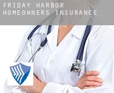 Friday Harbor  homeowners insurance