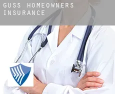 Guss homeowners insurance