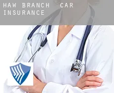 Haw Branch  car insurance