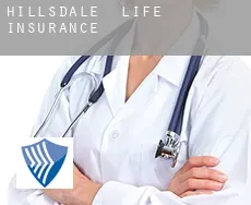 Hillsdale life insurance