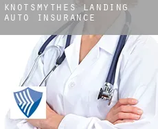 Knotsmythes Landing  auto insurance