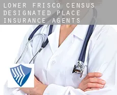 Lower Frisco  insurance agents