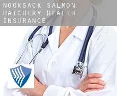 Nooksack Salmon Hatchery  health insurance