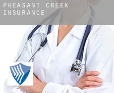 Pheasant Creek  insurance