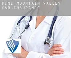 Pine Mountain Valley  car insurance