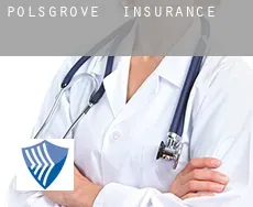Polsgrove  insurance
