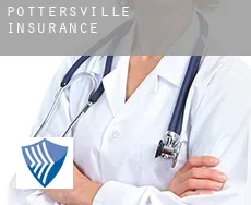 Pottersville  insurance