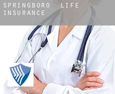 Springboro  life insurance