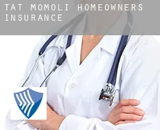 Tat Momoli  homeowners insurance