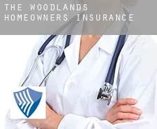 The Woodlands  homeowners insurance