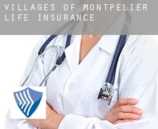 Villages of Montpelier  life insurance