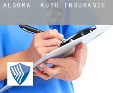 Algoma  auto insurance