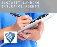 Blodgett Landing  insurance agents