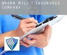 Brown Mill  insurance company