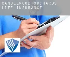 Candlewood Orchards  life insurance
