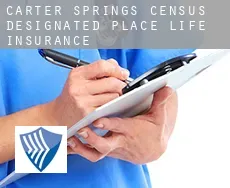 Carter Springs  life insurance