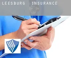 Leesburg insurance