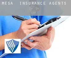 Mesa  insurance agents
