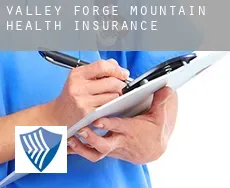 Valley Forge Mountain  health insurance