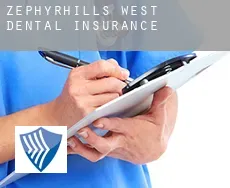 Zephyrhills West  dental insurance