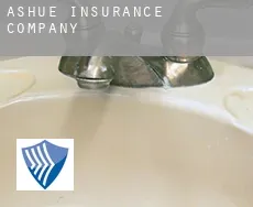 Ashue  insurance company