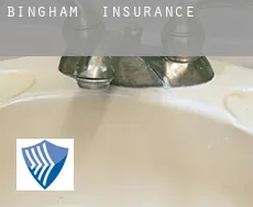 Bingham  insurance