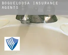 Bogueloosa  insurance agents