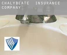 Chalybeate insurance company