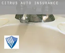 Citrus auto insurance