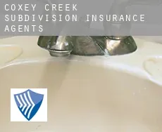 Coxey Creek Subdivision  insurance agents