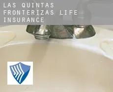 Las Quintas Fronterizas  life insurance