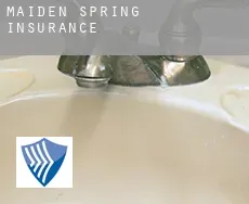 Maiden Spring  insurance