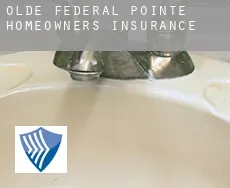 Olde Federal Pointe  homeowners insurance