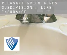 Pleasant Green Acres Subdivision 3-9  life insurance
