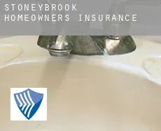 Stoneybrook  homeowners insurance