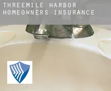 Threemile Harbor  homeowners insurance