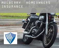 Mulberry  homeowners insurance