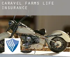 Caravel Farms  life insurance