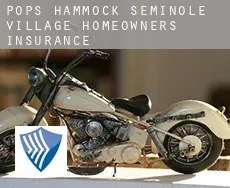 Pops Hammock Seminole Village  homeowners insurance