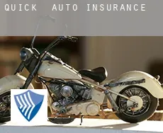 Quick  auto insurance