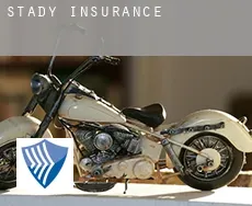 Stady  insurance