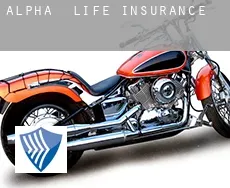 Alpha  life insurance